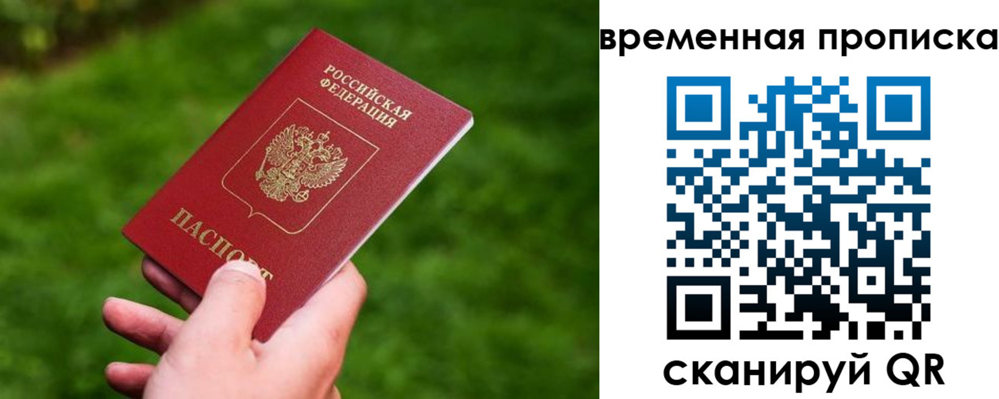 прописка ребенка в Кудрово